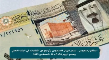 استقرار ملموس.. سعر الريال السعودي يتراجع عن التقلبات في البنك الأهلي ومصر اليوم الثلاثاء 26 أغسطس 2025